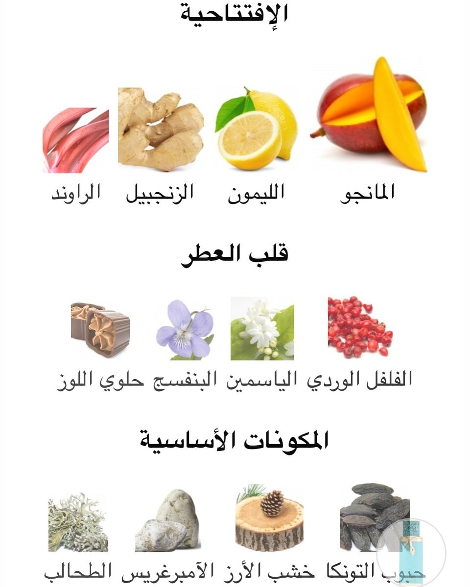عطر فولكان فو من فرينش افينيو عطر فولكان فو من فرينش افينيو