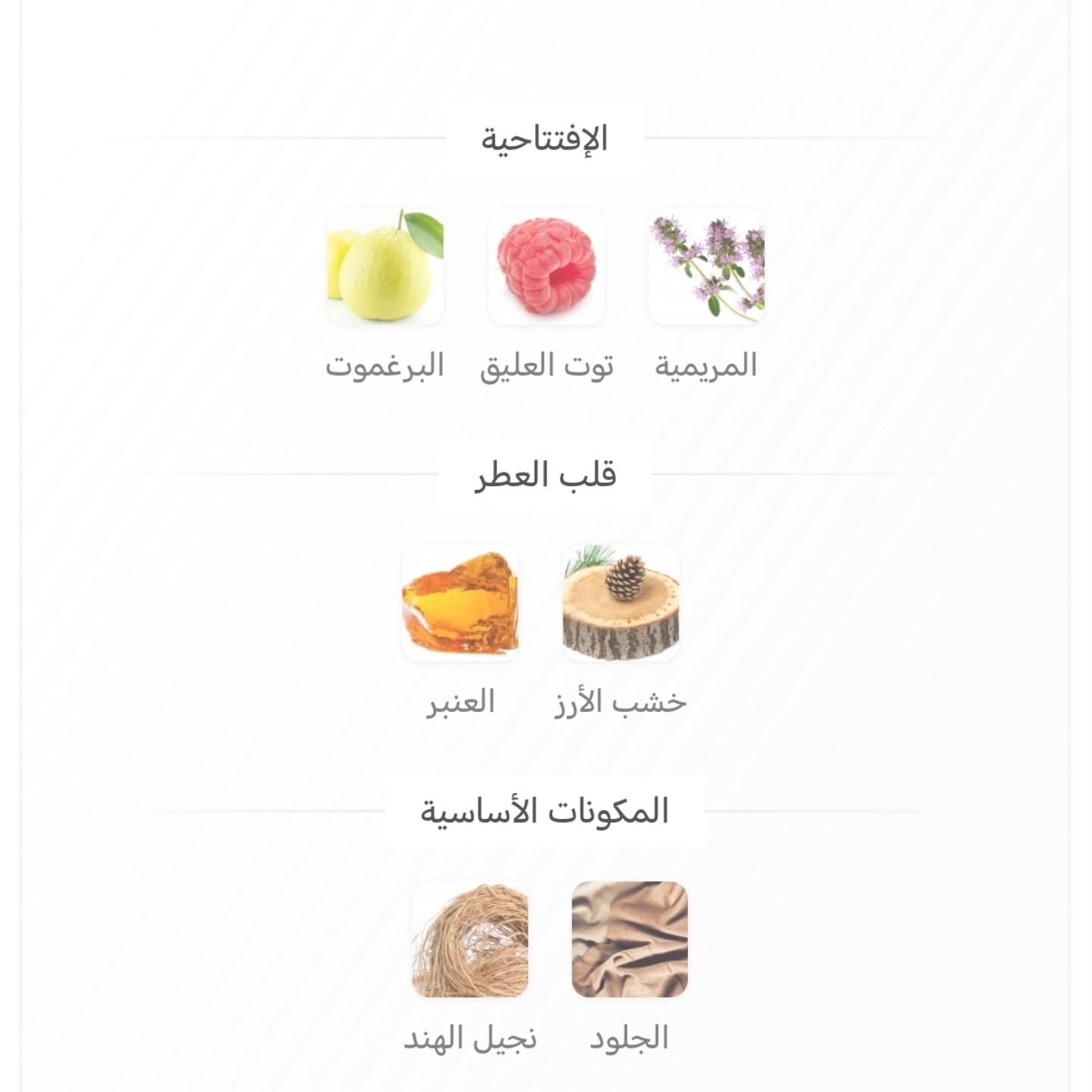 عطر نوار ابسلو عربيات برستيج عطر نوار ابسلو عربيات برستيج