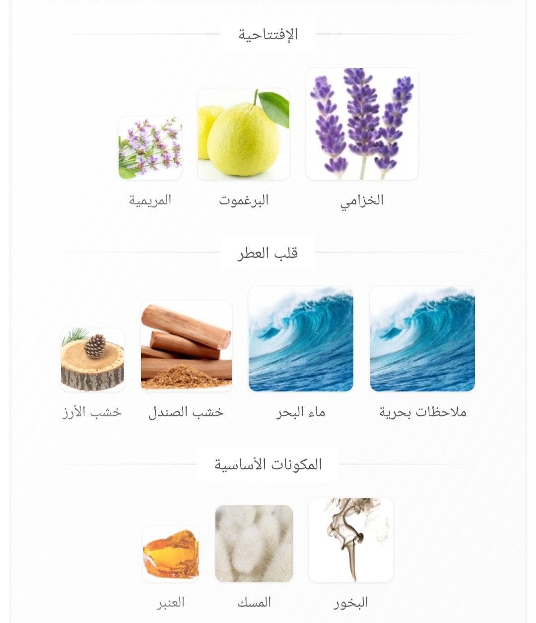 عطر ريبيل من فرينش افينيو عطر ريبيل من فرينش افينيو